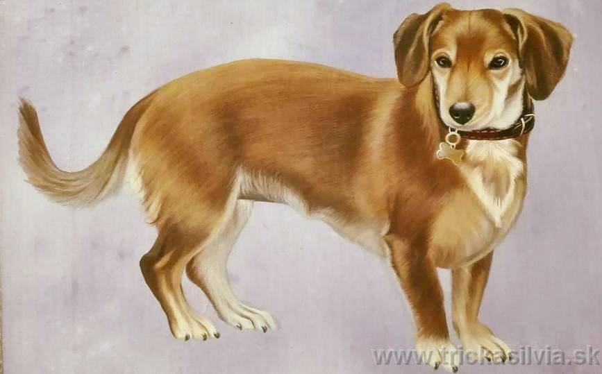 Original image