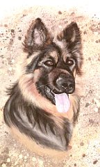 Astor3