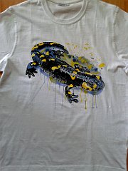 salamandra