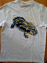 salamandra3