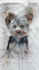 yorky1